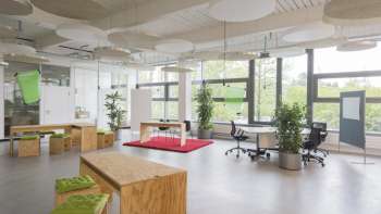 Startfeld Startfeld