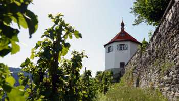 tobias wein.gut tobias wein.gut